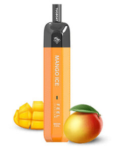 MANGO-ICE