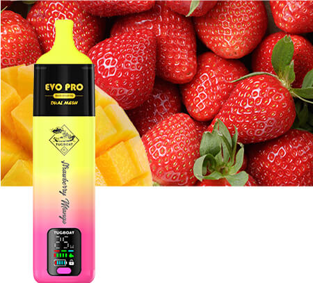 STRAWBERRY-MANGO-EVO PRO