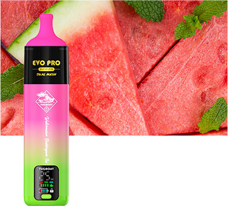 WATERMELON-BUBBLEGUM-ICE-EVO PRO